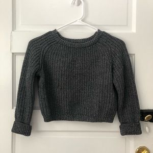 AA Cropped Fisherman Sweater in Zebra